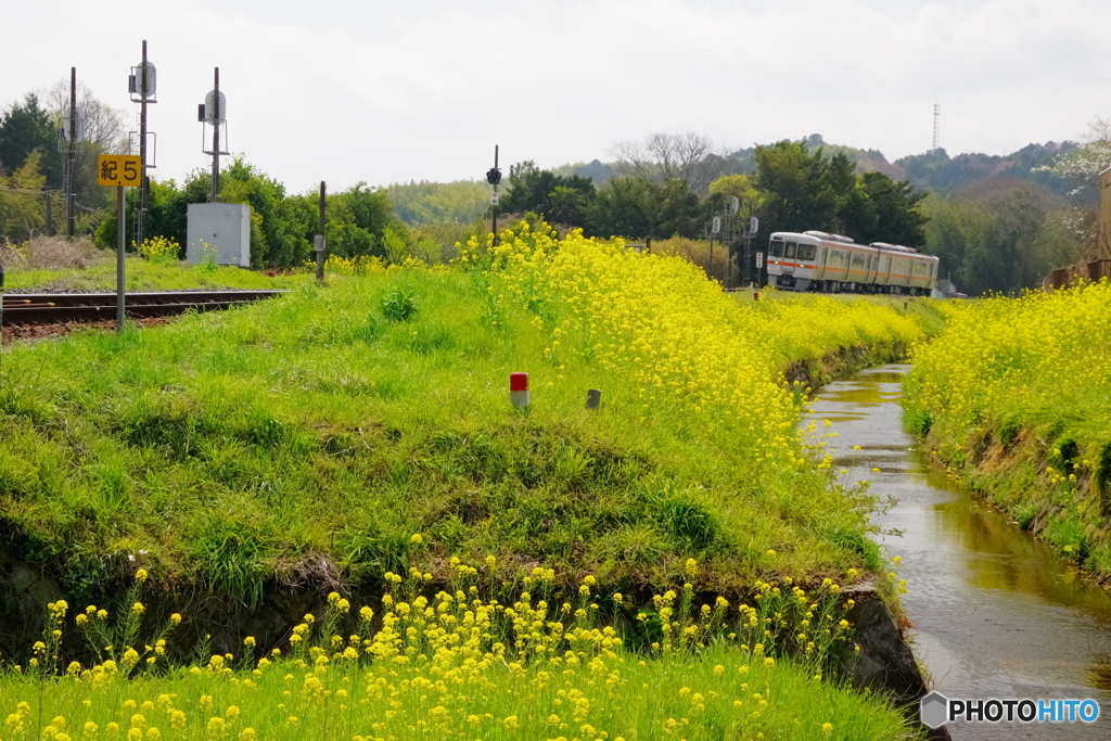 春の小川