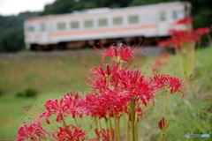 雨あがりの鉄道風景
