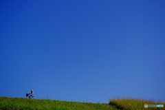 空・自転車そして飛行機