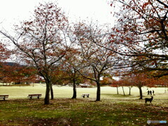 奈良公園
