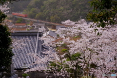 津山線の春