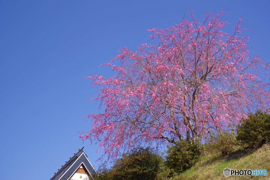 青空