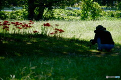 撮り花さんを撮る