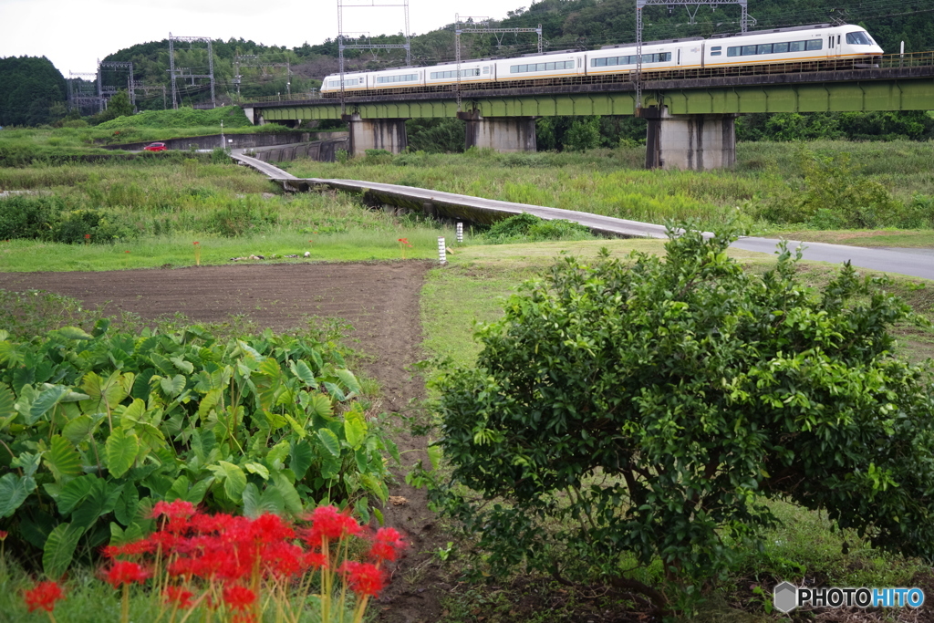 沈下橋のある鉄道風景　1