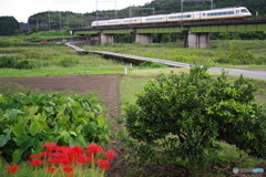 沈下橋のある鉄道風景　1