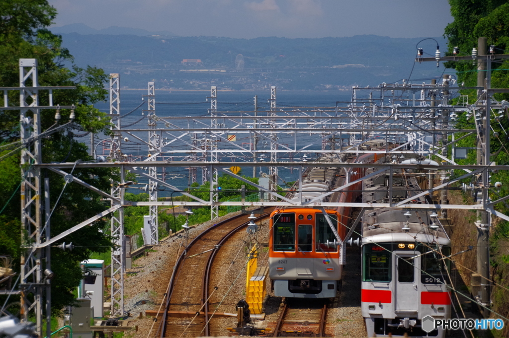 淡路島バック