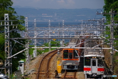 淡路島バック