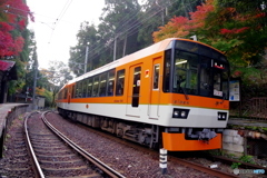 秋の恒例　叡電詣　展望列車「赤きらら」