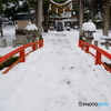 白い参道