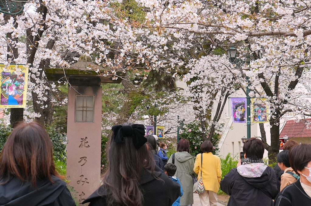 宝塚にて　花の道も桜の季節