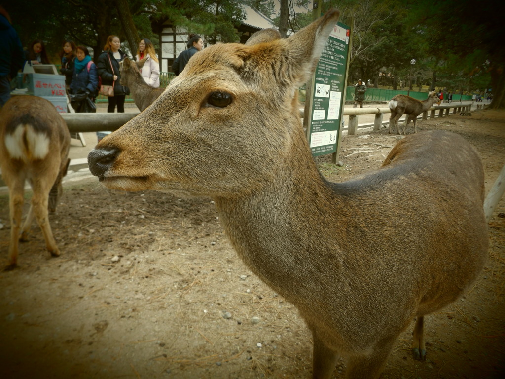 どアップ