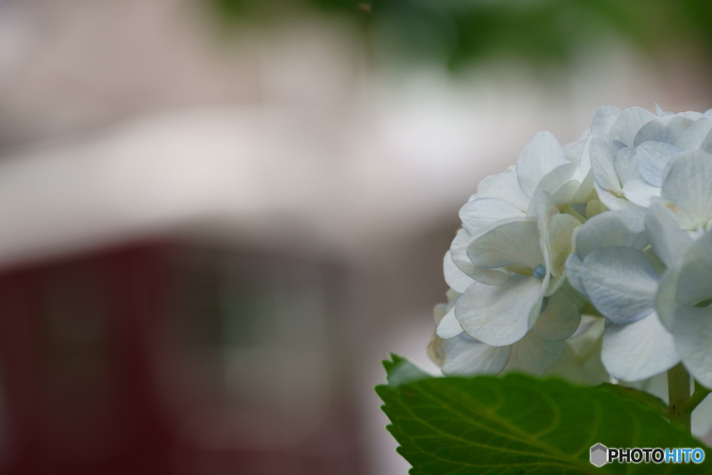 梅雨入り