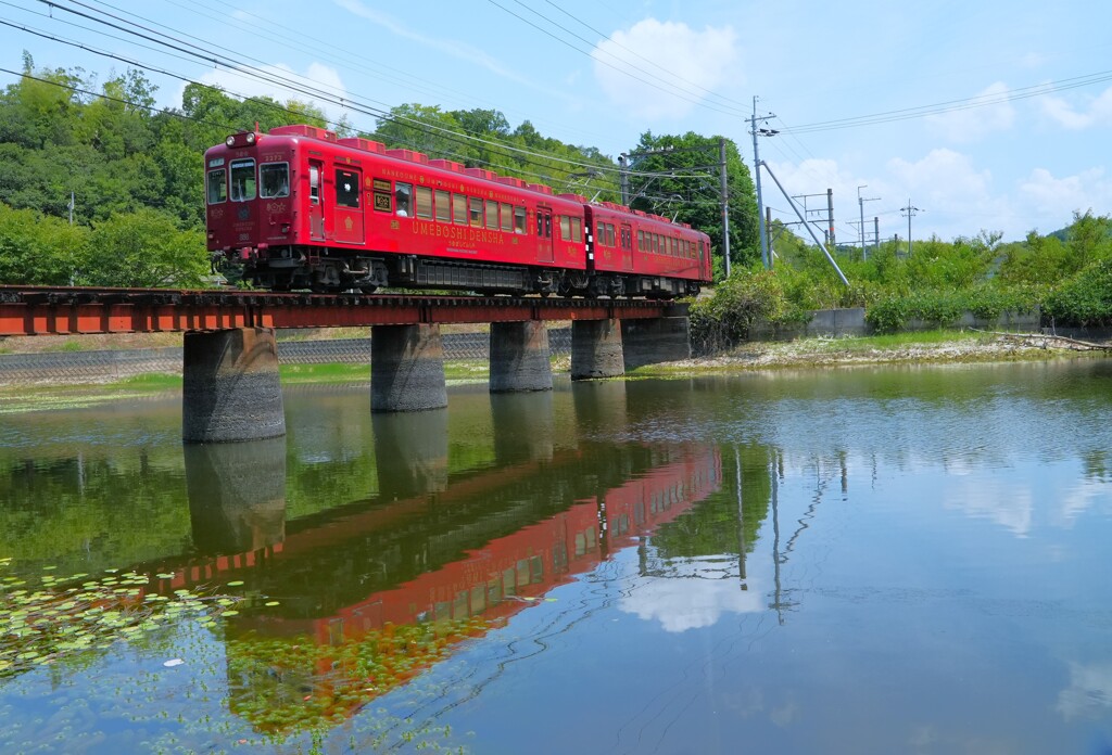 うめぼし電車が来た