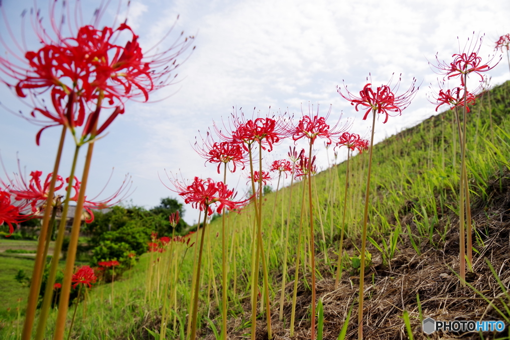 ローアングル（列車なし）