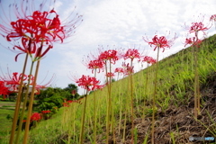 ローアングル（列車なし）
