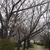定点観測3.30①
