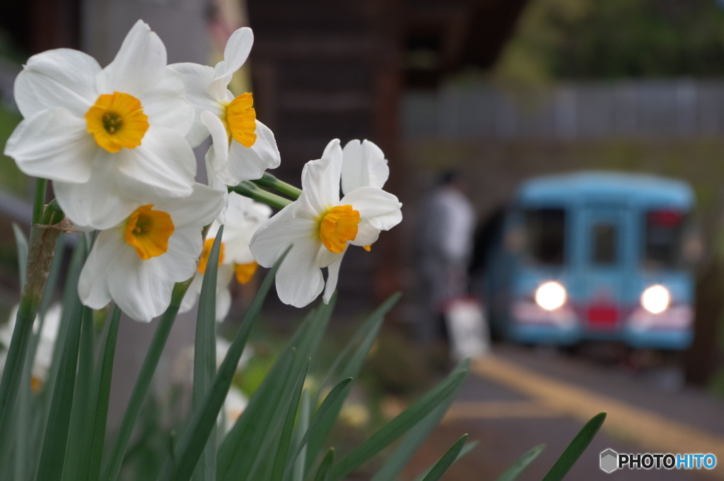 この列車で行く