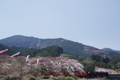 家山 春の風景