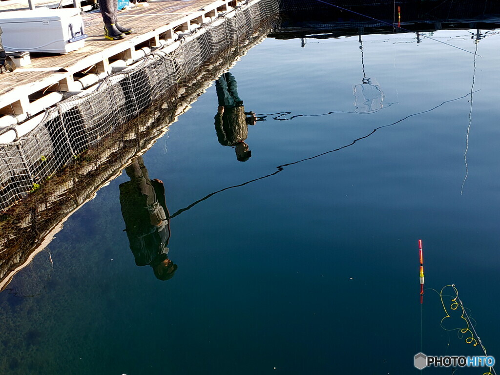 海上釣り堀