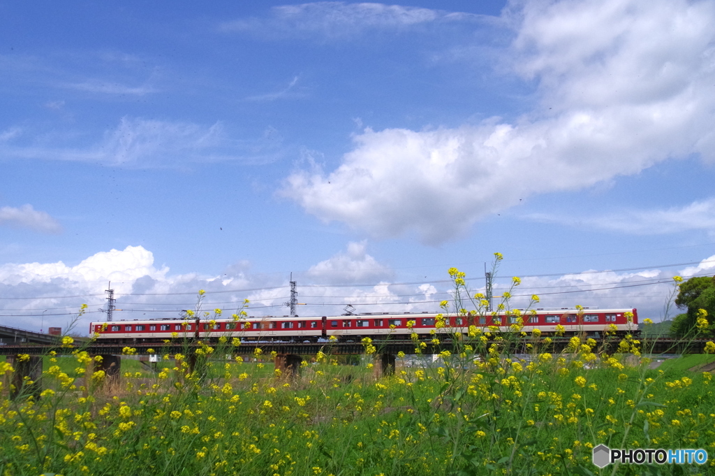 大和川の春