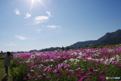 良いの撮れましたか？
