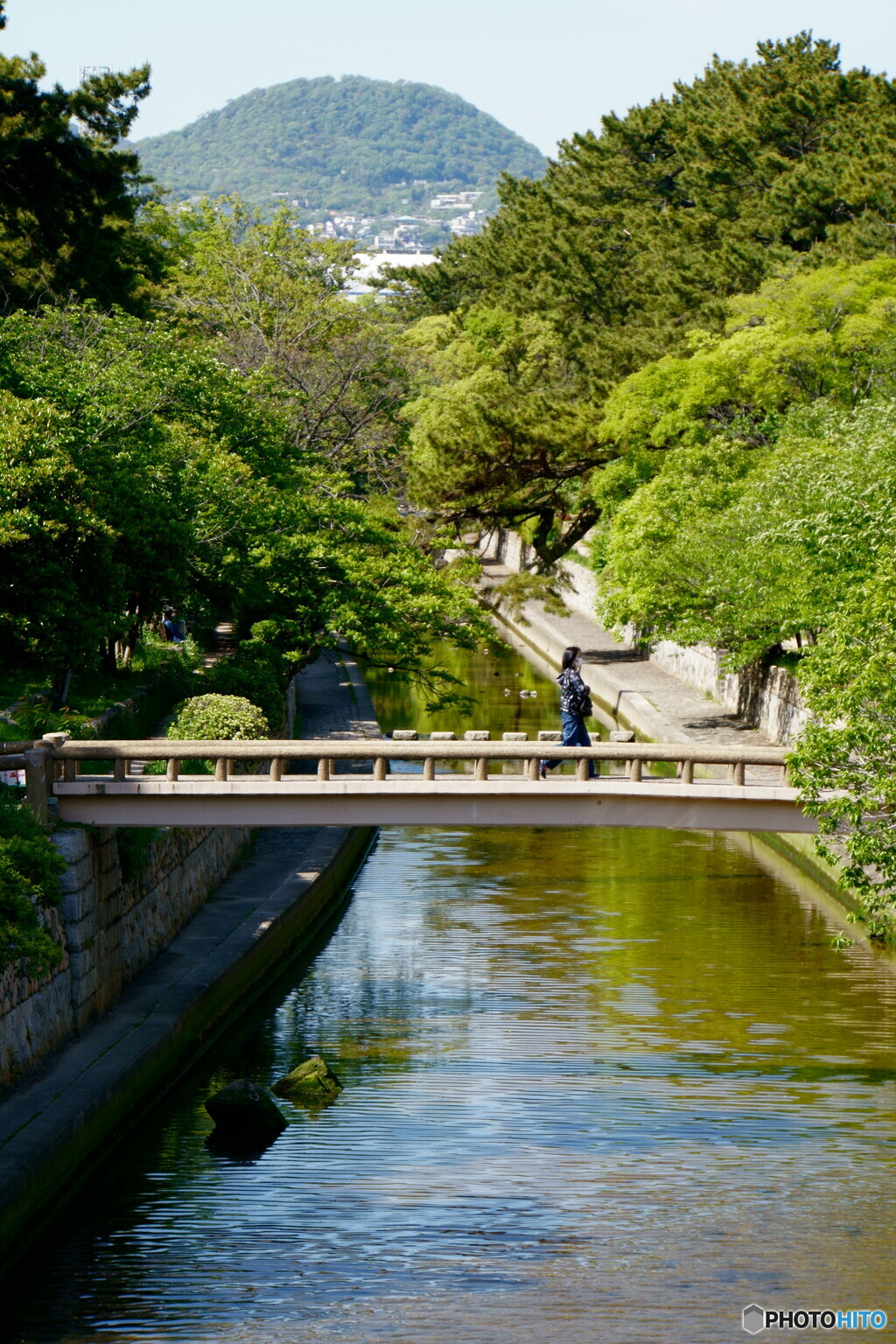 甲山を望む