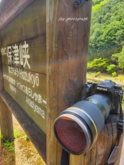 頑張れ！ペンタックス