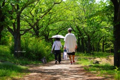 花の季節が過ぎて