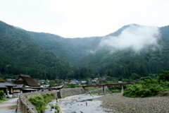 煙る里山