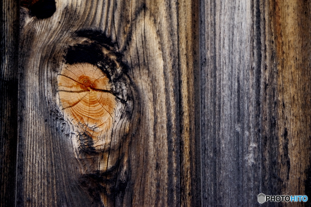 板塀の年輪