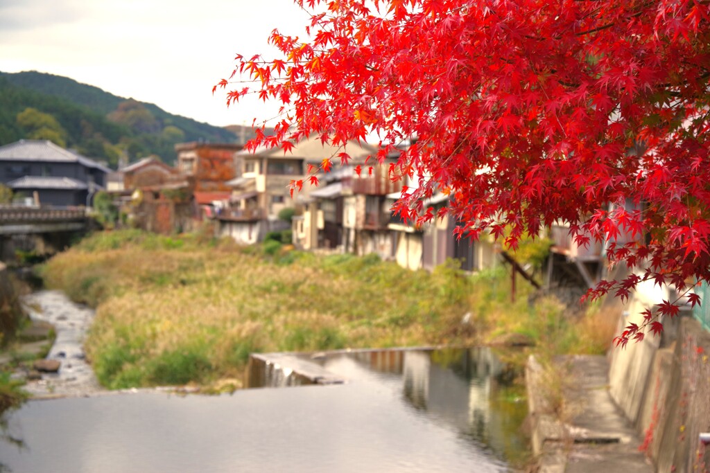 大和川上流風景