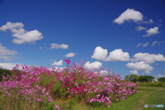 里山の秋