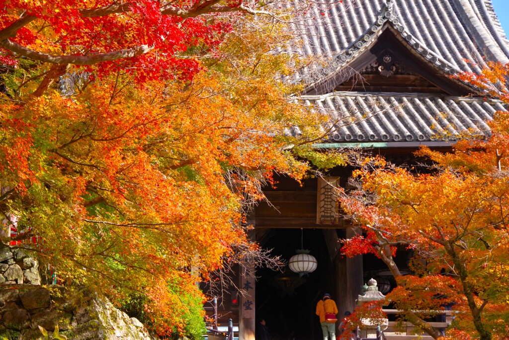 長谷寺　本堂