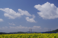 空色