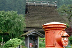 里山の梅雨景色