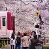 千本桜の踏切