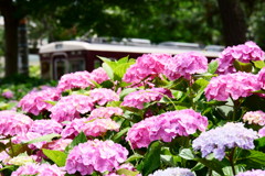 阪急「水無月①」