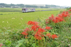 9月の風景➁