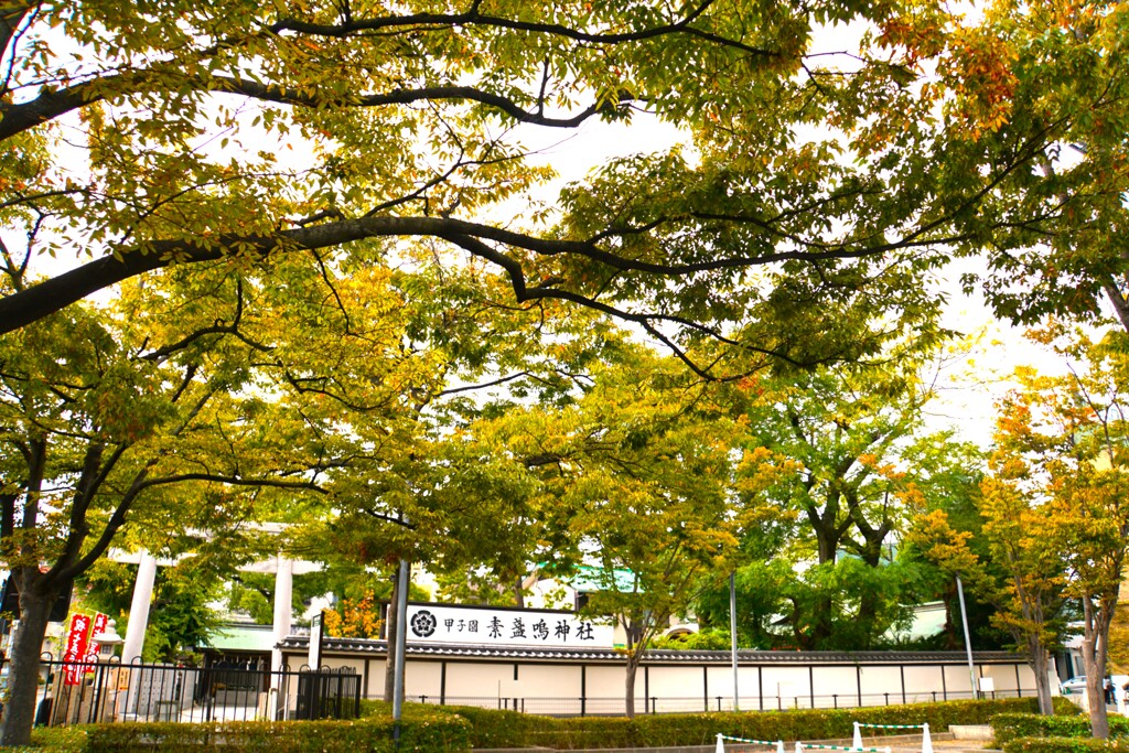 甲子園素戔嗚神社
