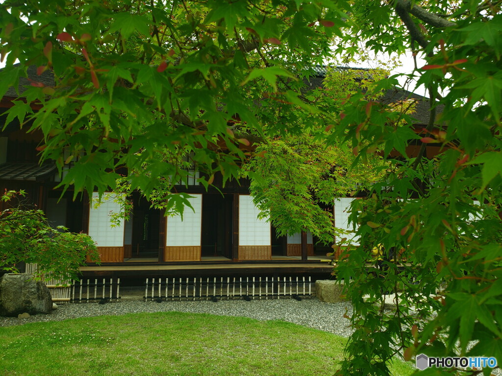 障子のある風景