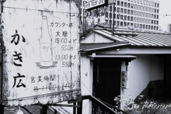 大阪　御堂筋スナップ
