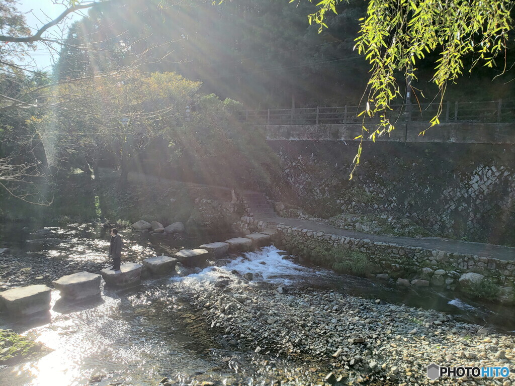 朝光
