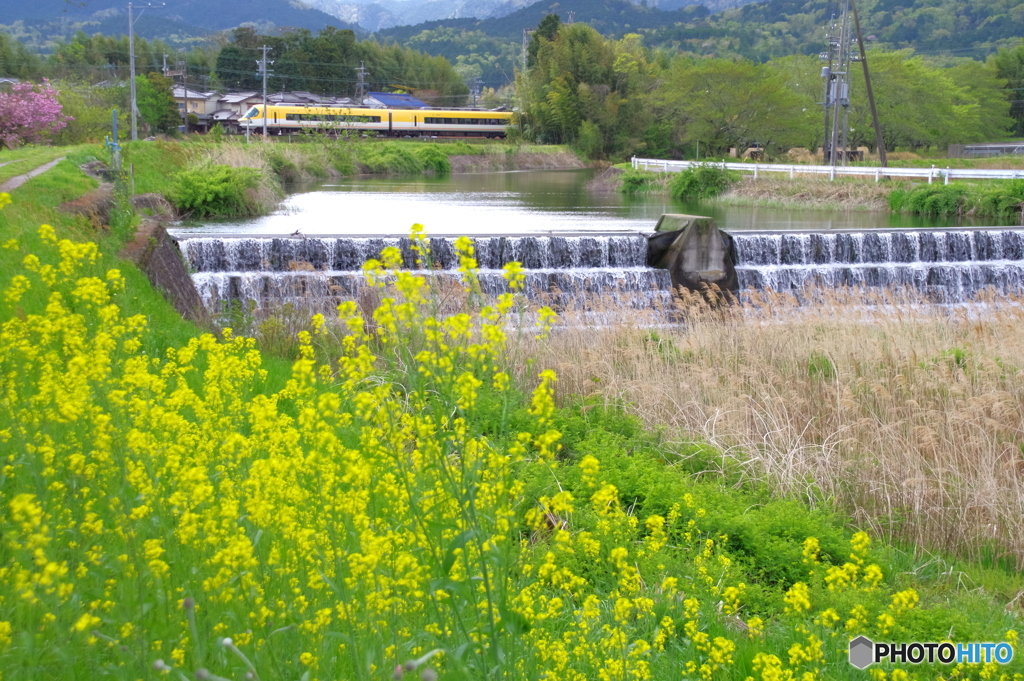 春の小川