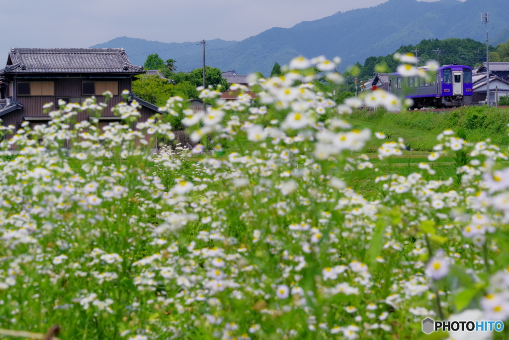 梅雨の晴れ間に