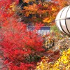 長谷寺を切り撮る　その弐