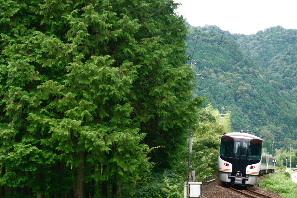 飛騨高山に向かって