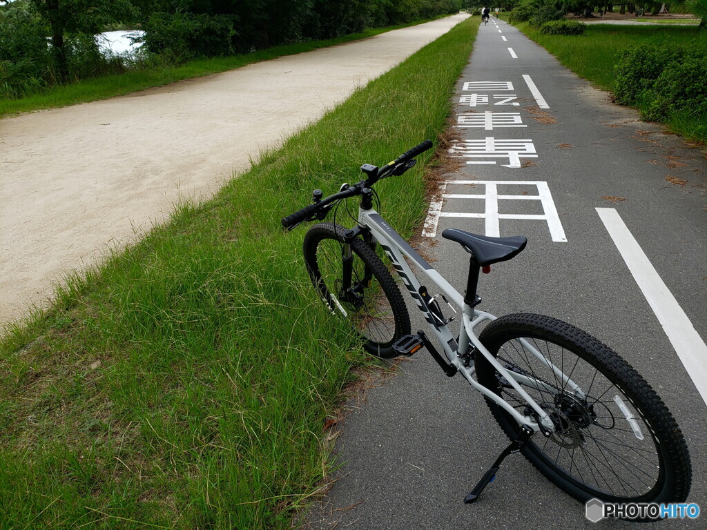 サイクリングロード