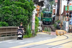 湘南スナップ