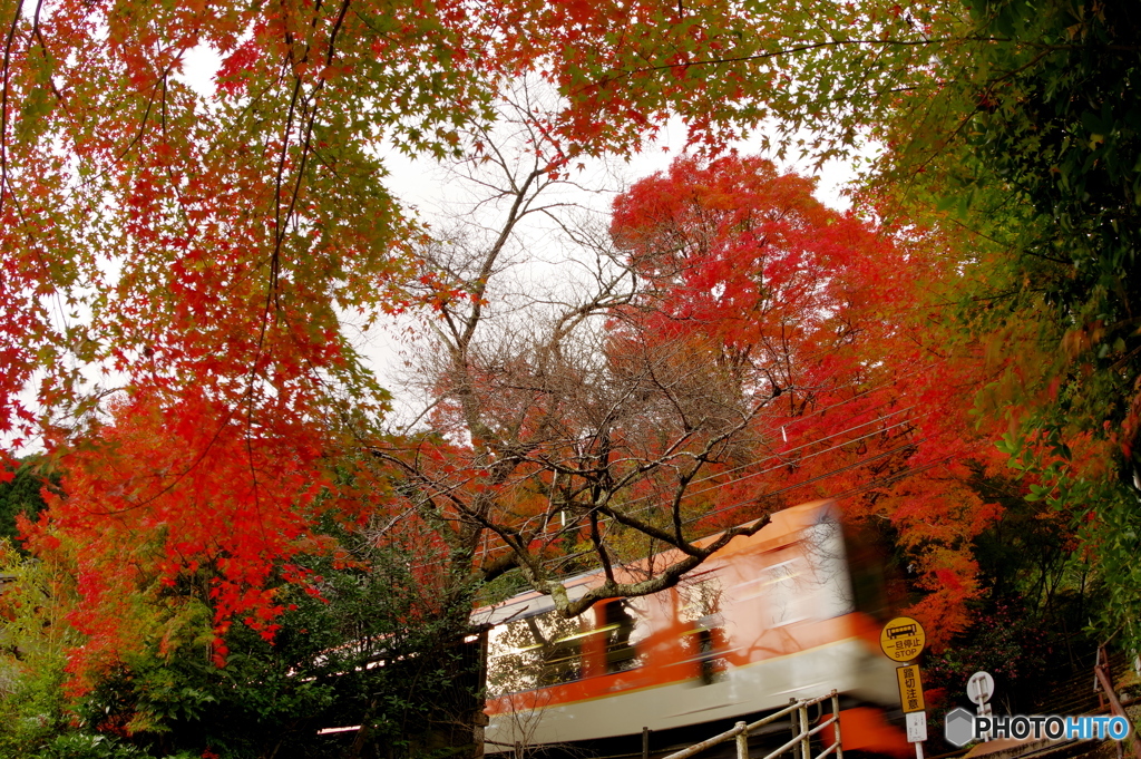 紅葉の第四種踏切