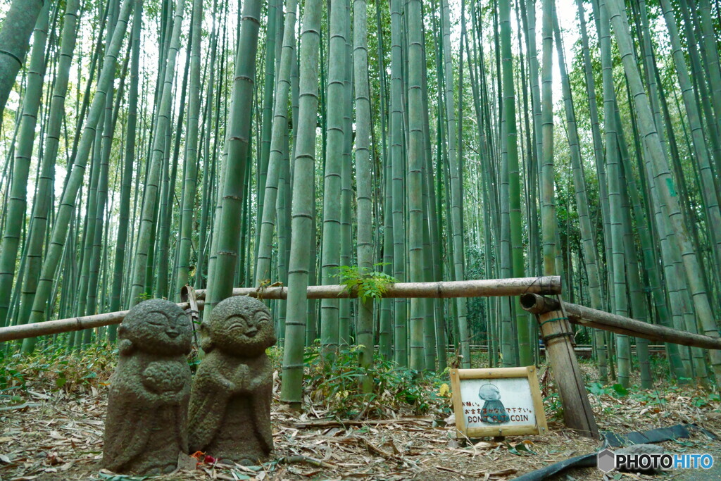 願う